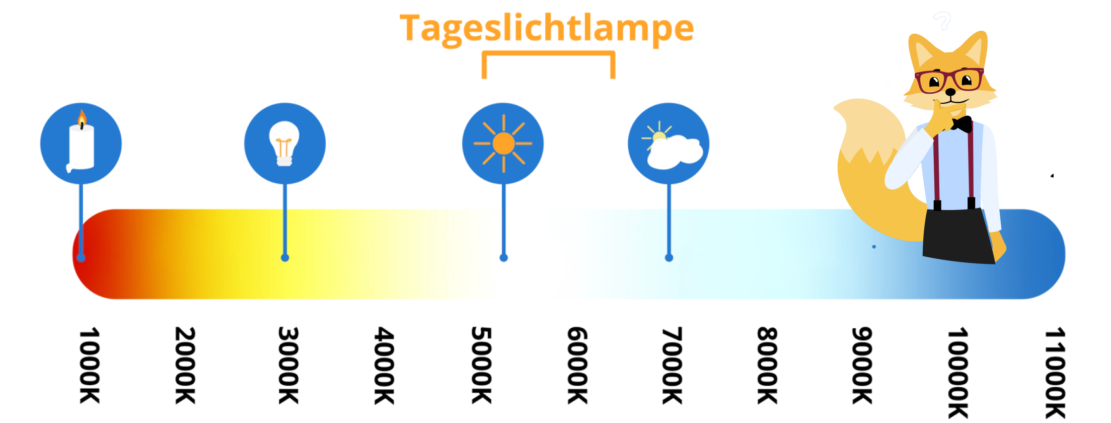 Tageslichtlampe: Die Besten Modelle Im Test Und Vergleich (2024)